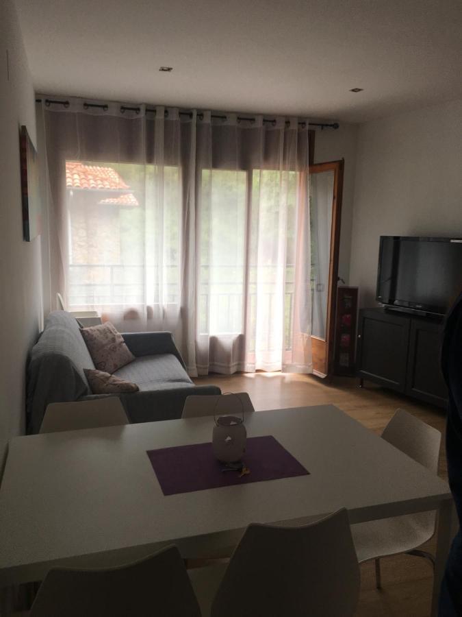 Precioso Apartamento Con Vistas Montana O Rio Ribes De Freser Dış mekan fotoğraf