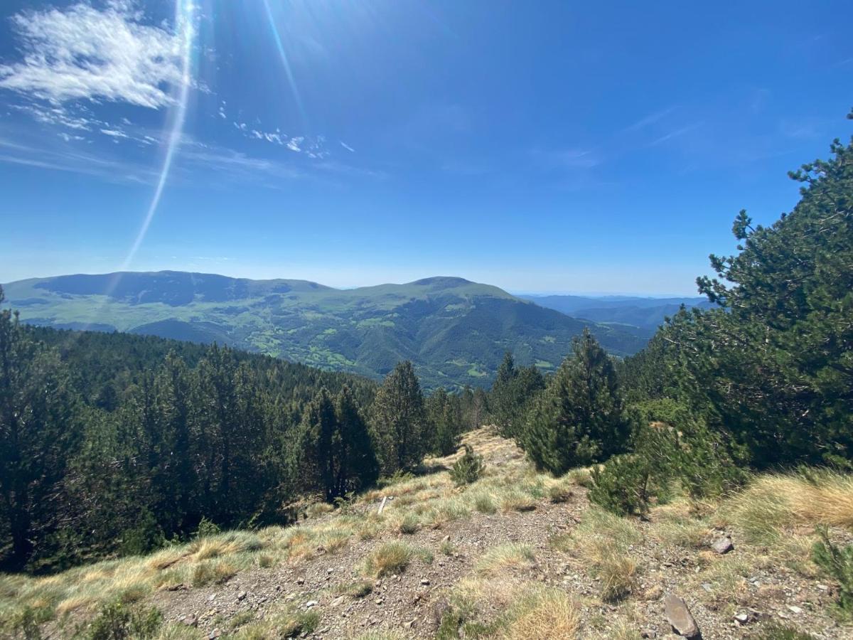 Precioso Apartamento Con Vistas Montana O Rio Ribes De Freser Dış mekan fotoğraf