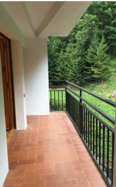 Precioso Apartamento Con Vistas Montana O Rio Ribes De Freser Dış mekan fotoğraf